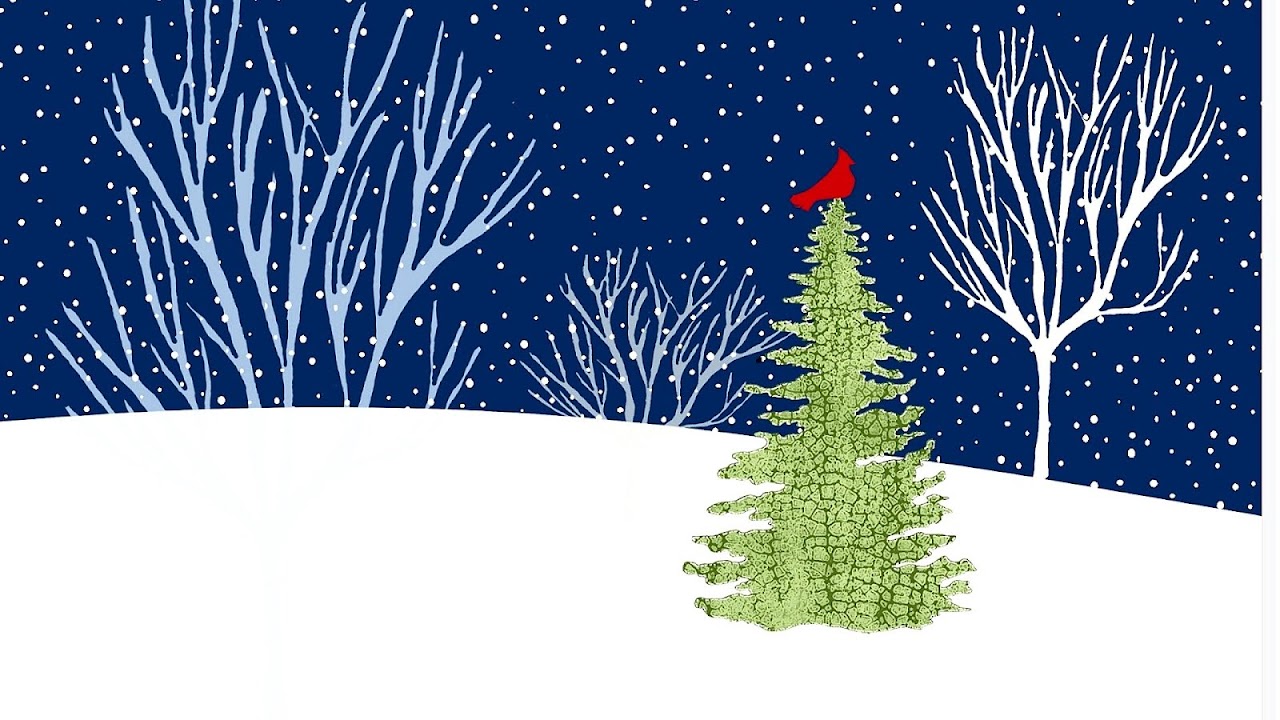 Boxed Christmas Cards On Sale - Box Choices