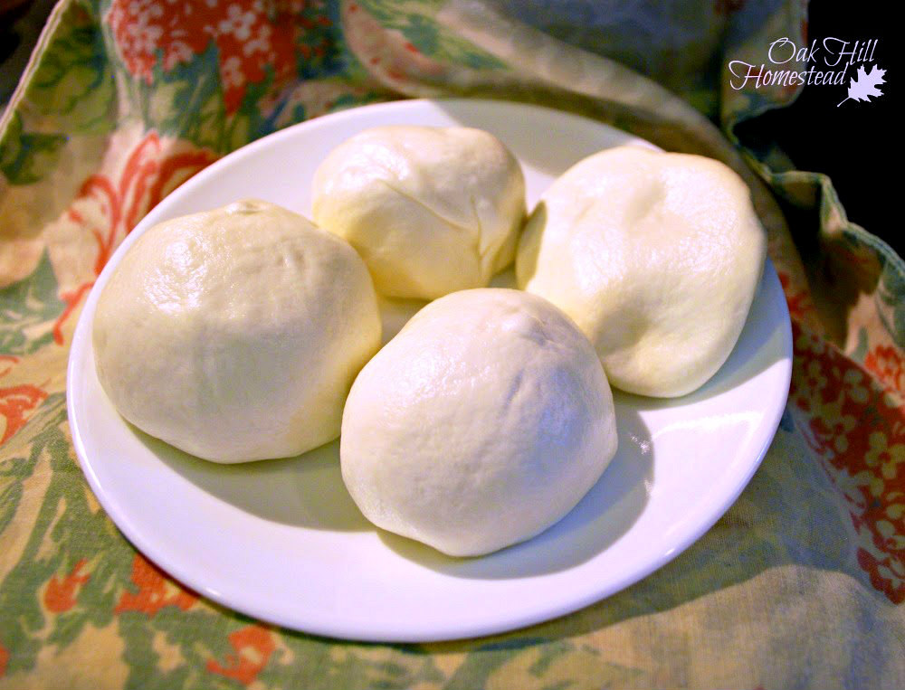 How to Make Mozzarella Cheese Oak Hill Homestead