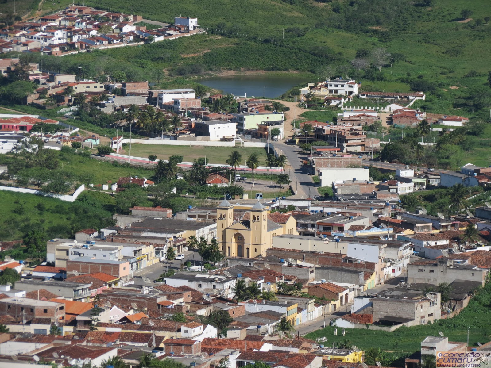 Cumaru No Estado de Pernambuco