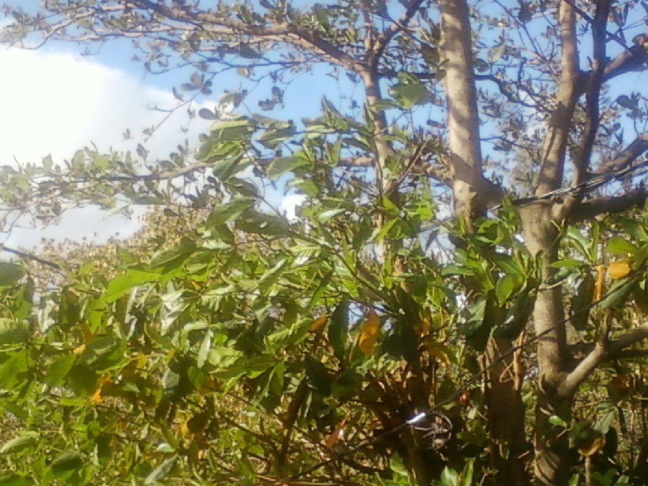 Partager avec plaisir - Recettes de cuisine faciles et idées de ...