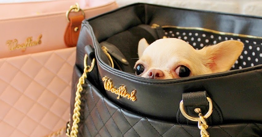 WOOFLINK - Hip designer dog clothes: CHIC BAG 3 ♥ is BACK in stock