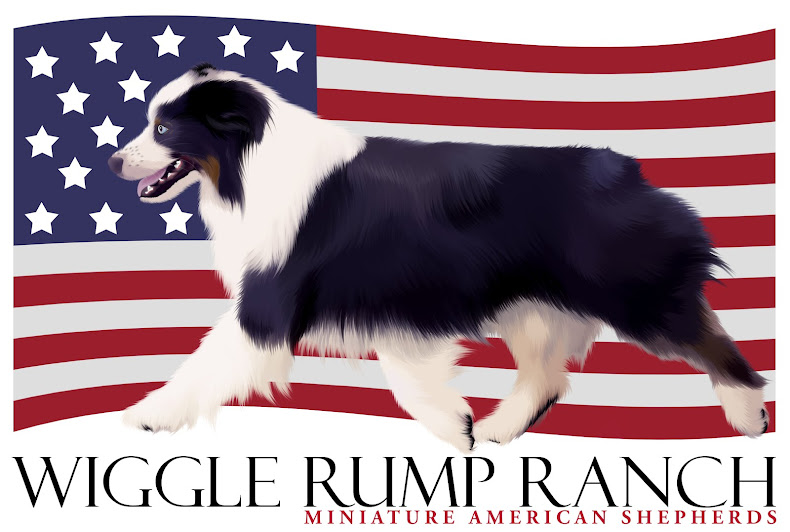 "Wiggle Rump Ranch"