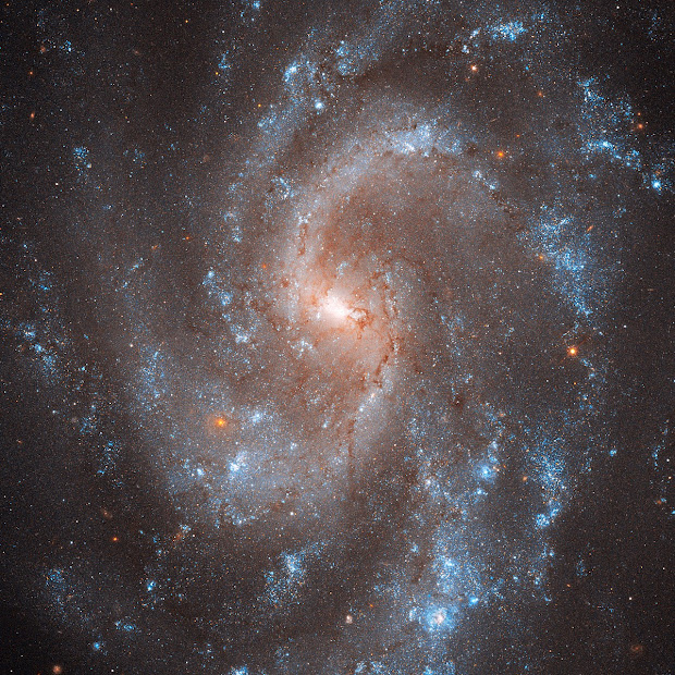 Beautiful Spiral Galaxy NGC 5584, key to Universe's expansion