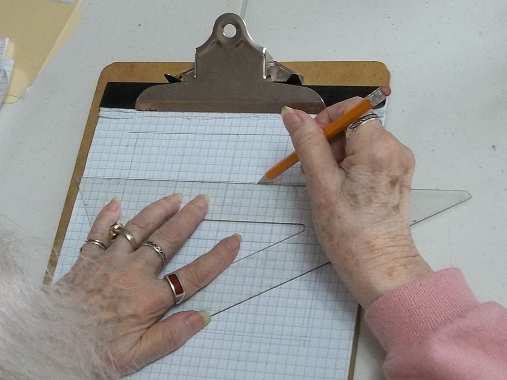 Irises Nature's Living Rainbows Cuttings from Annake's Garden