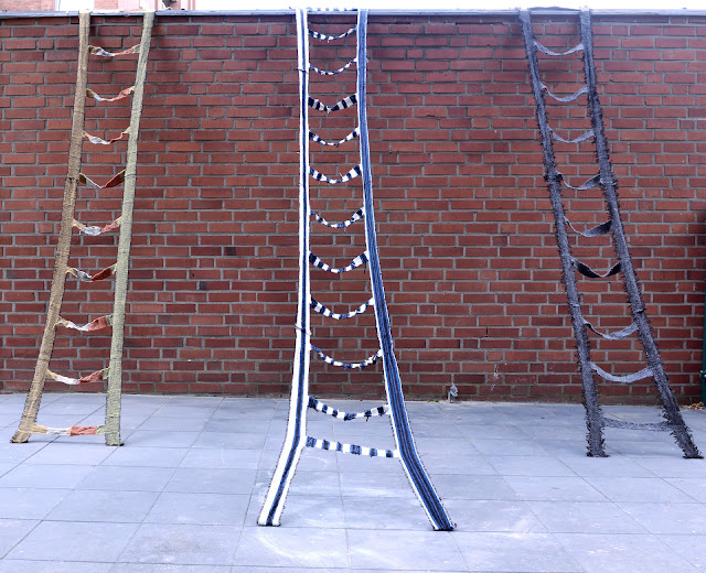 Ladder for Better Democracy