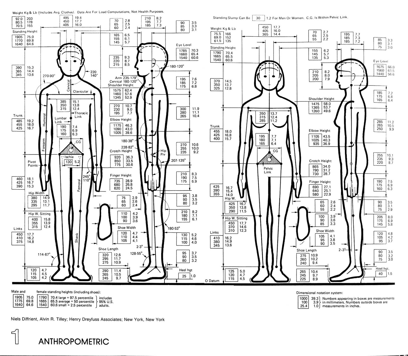 Human standard l jpg 1600 1398 Human Dimension Human Architecture human-standard-l-jpg-1600-1398-human-dimension-human-architecture