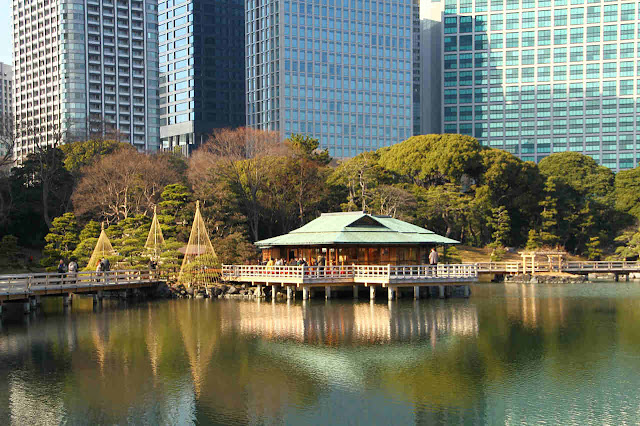 Top 8 attractions in Tokyo, Japan