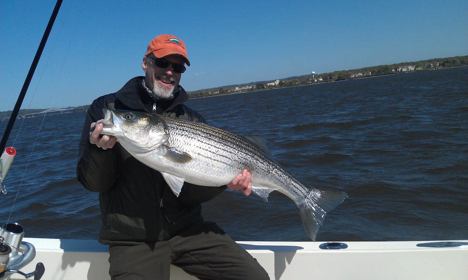 Lew's Fly Angler Chesapeake Bay and Gunpowder River Maryland Fly Fishing Guide Susquehanna