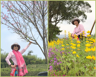 龍潭景點-大北坑休閒農業區-疫情期間少了人潮、多了恬靜自在