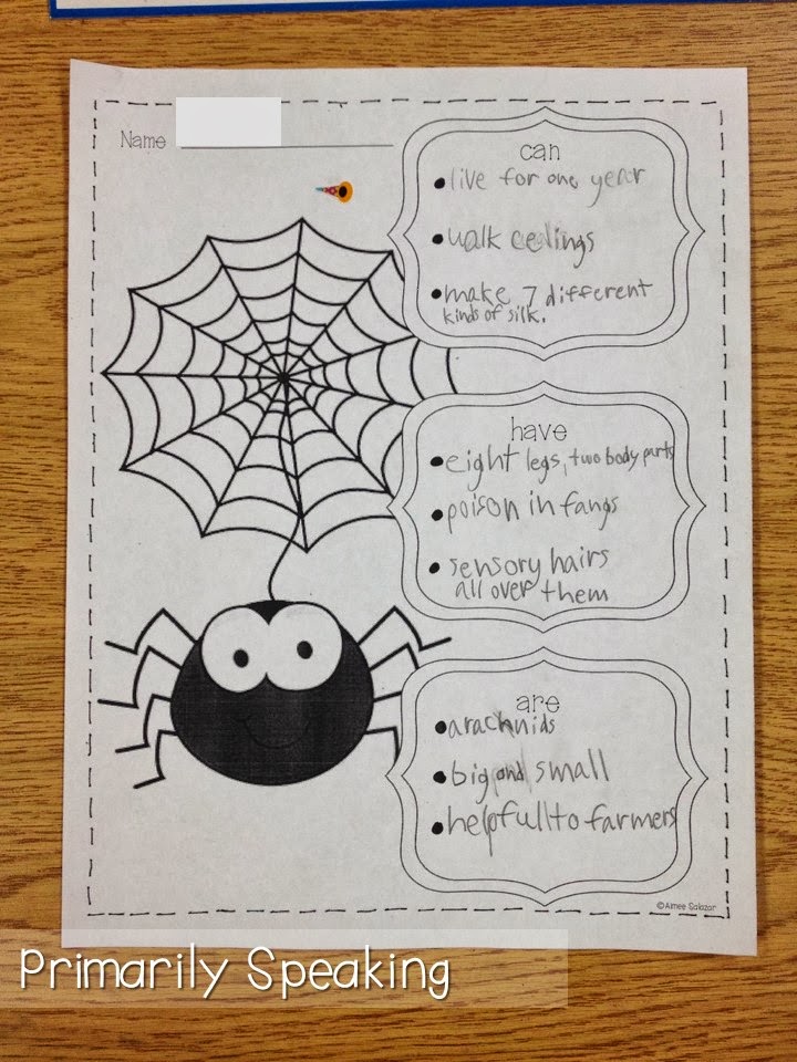 Spider Time!! Primarily Speaking