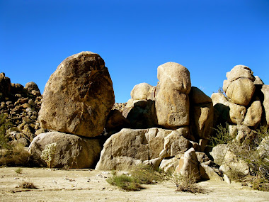 Joshua Tree National Park, CA