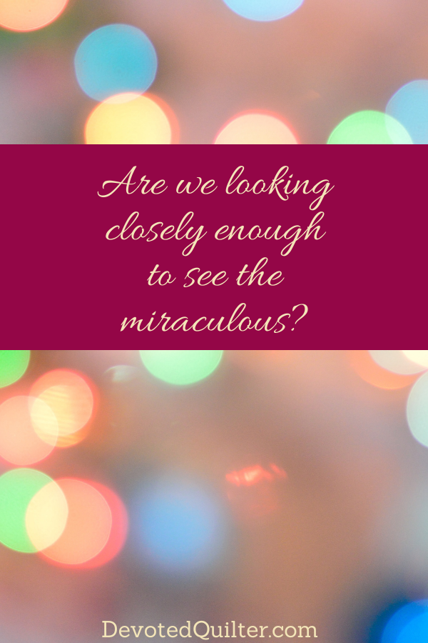 Are we looking closely enough to see the miraculous | DevotedQuilter.com