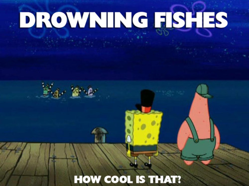 Drowning Fishes - How Cool Is That SpongeBob