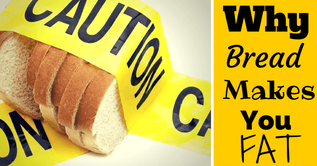 Why Bread Makes You Fat and High Fat Foods Can Help You Lose Weight