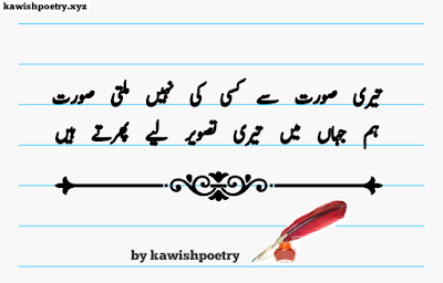 Teri Tasveer Urdu Poetry | Tasveer Poetry 2 Lines