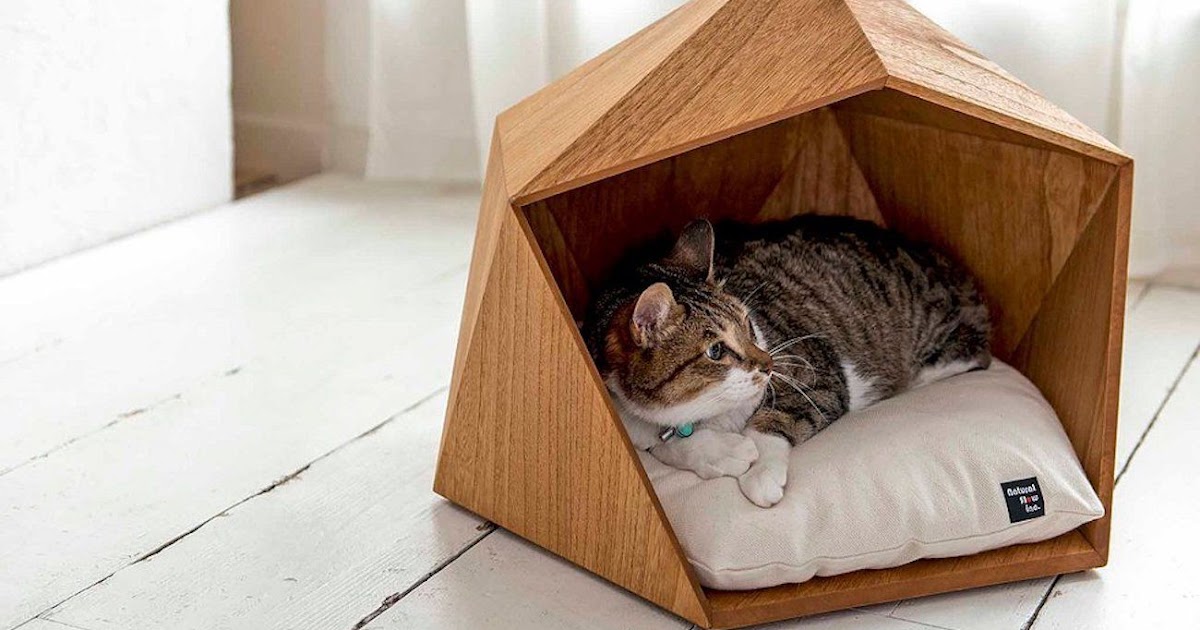 verdad equivocado Tregua Ideas de camas para gatos | Revista TendenciaDeco
