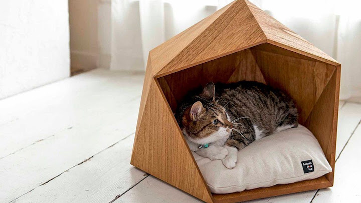 Cama de gato moderna Cama de gato moderna