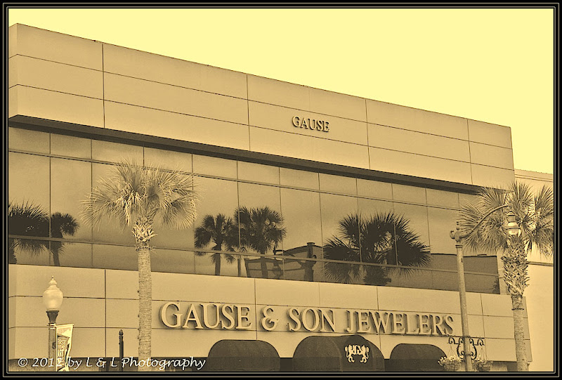 Ocala, Central Florida & Beyond Gause & Son Jewelers