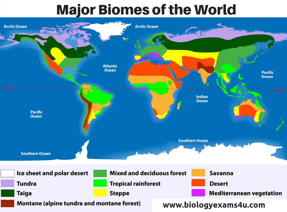 What are the 6 largest biomes?
