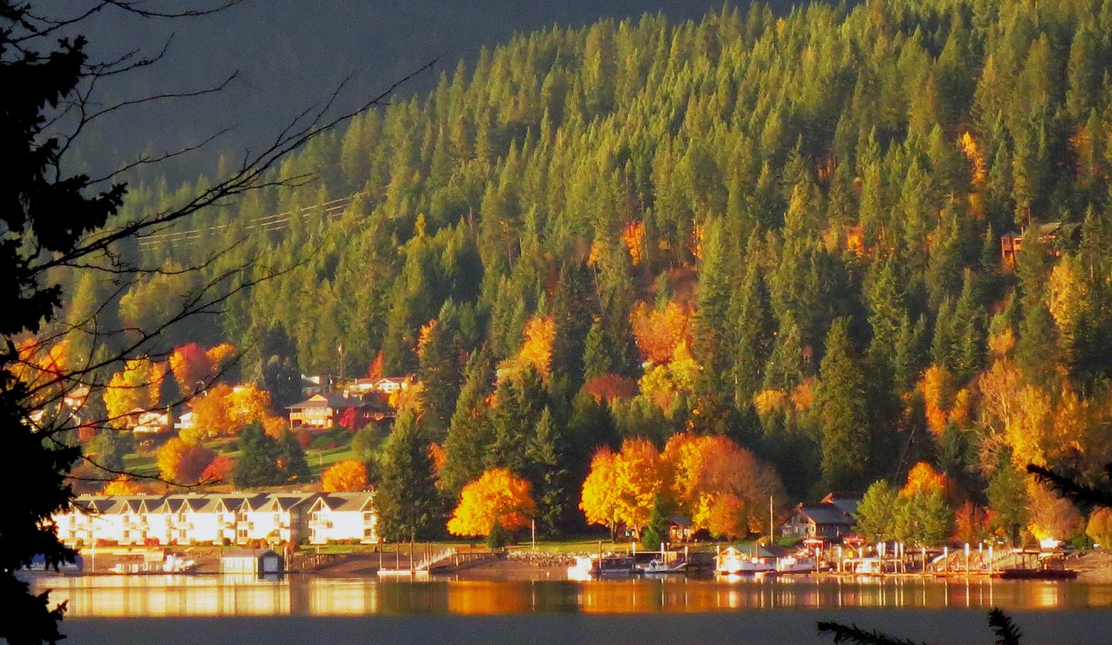 October on Ellisport Bay, Lake Pend Oreille, ID Ellisport Bay, ID - Late October