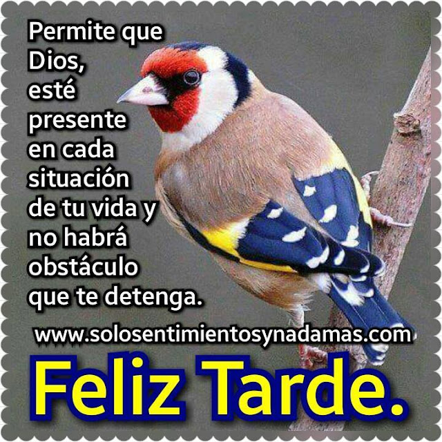 Feliz tarde.