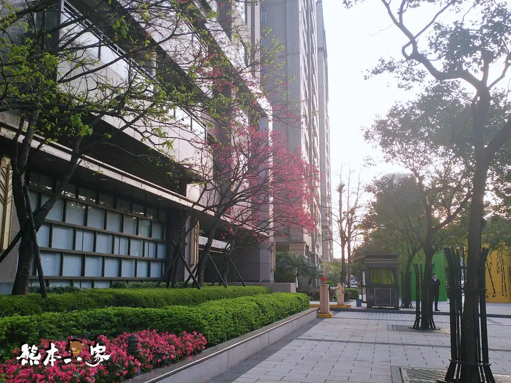 228連假三峽北大賞櫻花兼野餐親子半日遊|賞花點不少值得散步走走喔