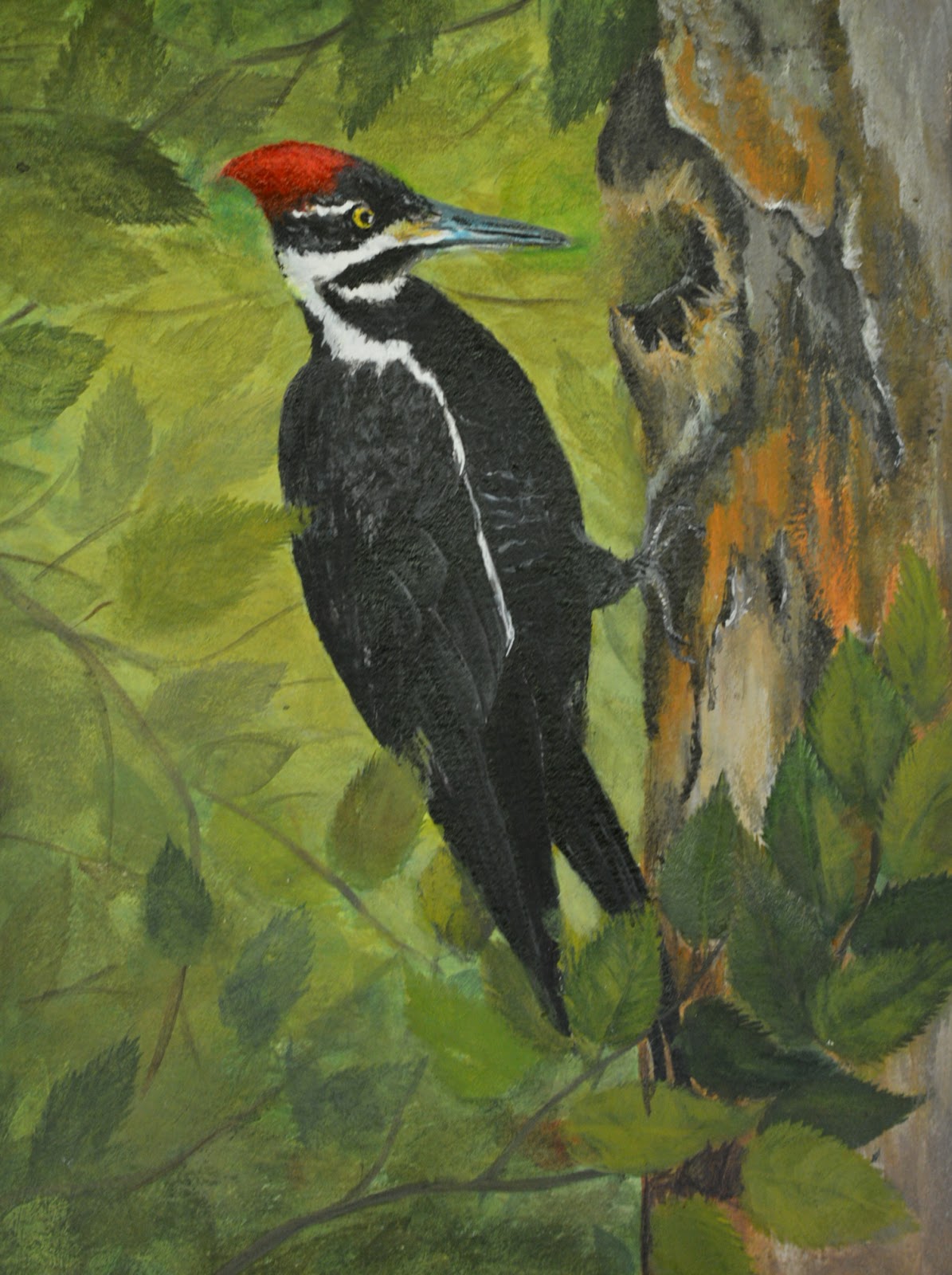 Painting the Pileated Woodpecker in Acrylic (7)