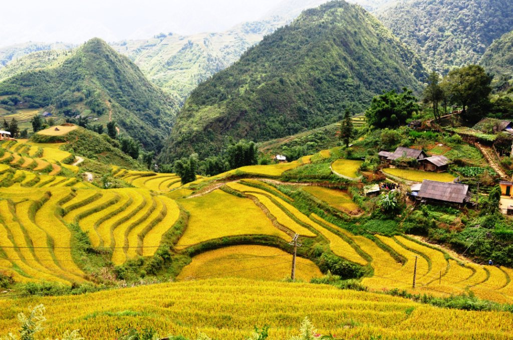 Viagem Afora Sapa e os seus