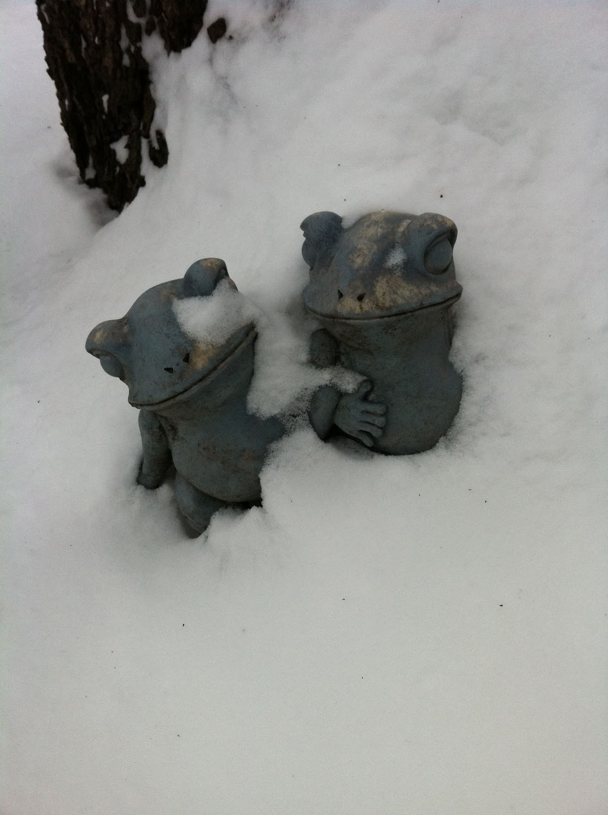 Ampowerflower: Lago Michigan...congelado! Lake Michigan...frozen!