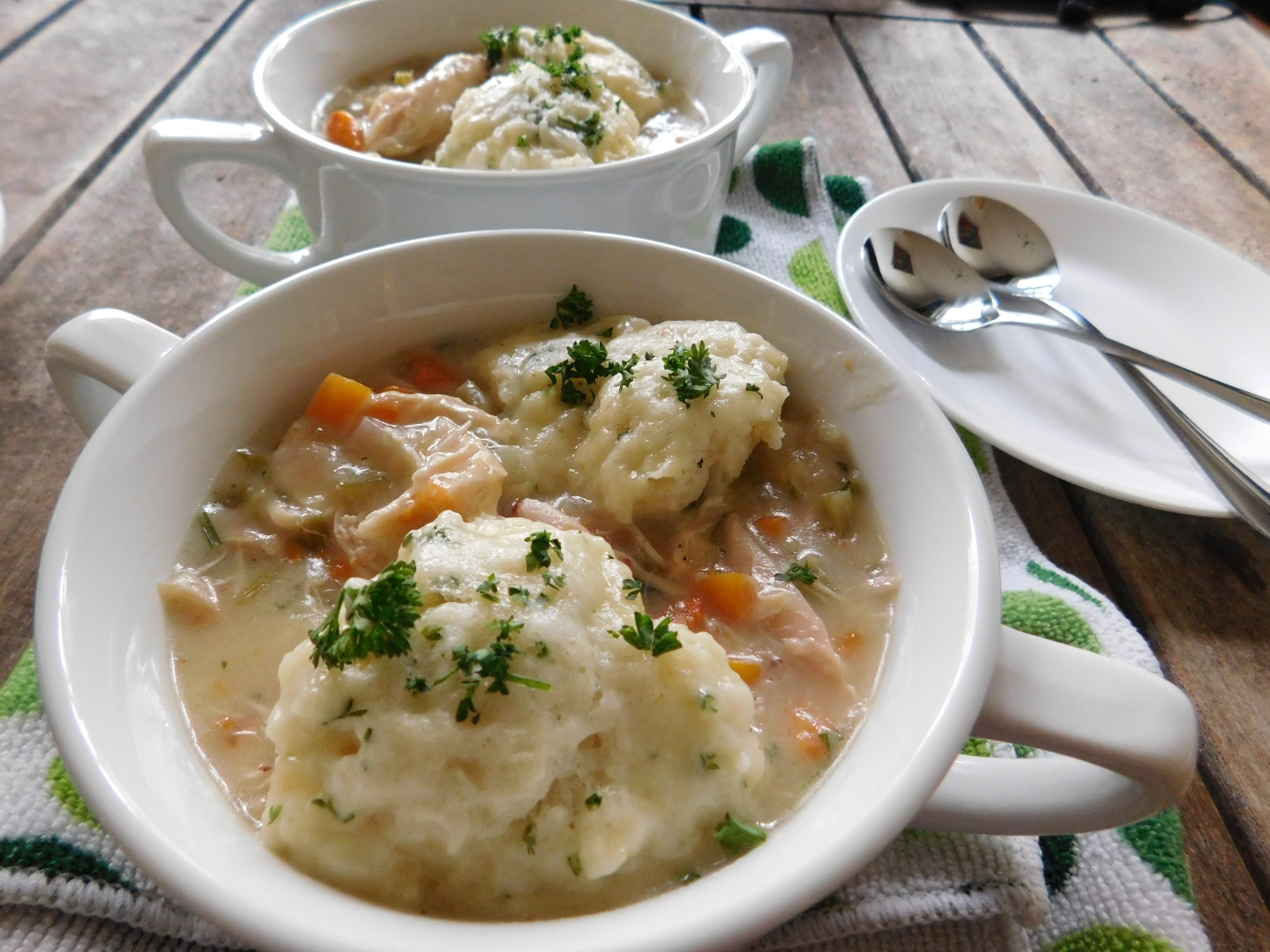 Southern Chicken and Dumplings Nik Snacks Nik Snacks