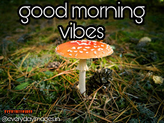 Best good morning images Best good morning images