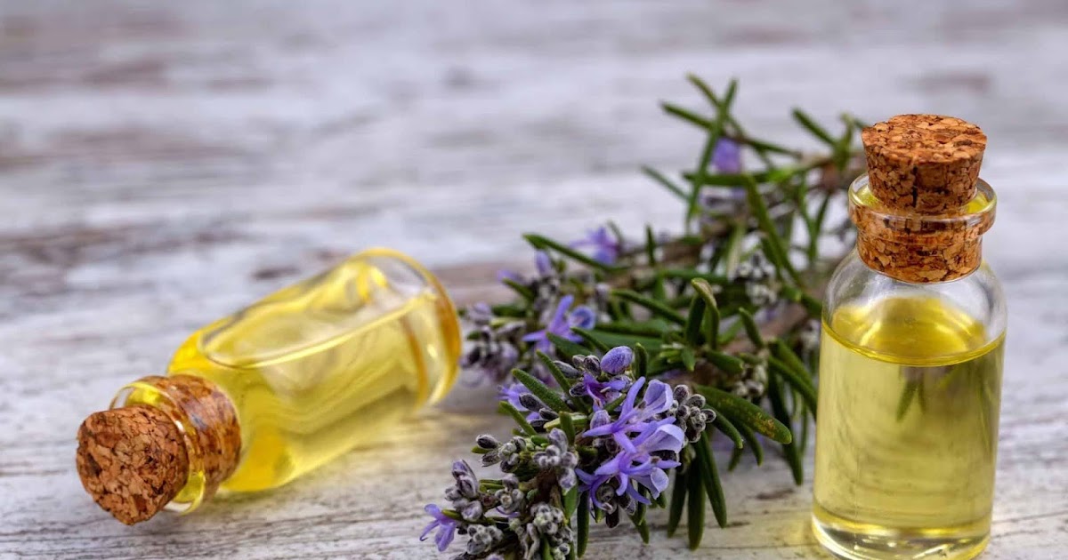 Importance of Rosemary Oil For Hair Loss and Hair Growth