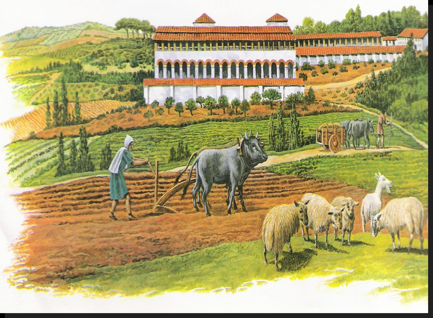 BLOG DO PROFESSOR MARCIANO DANTAS A