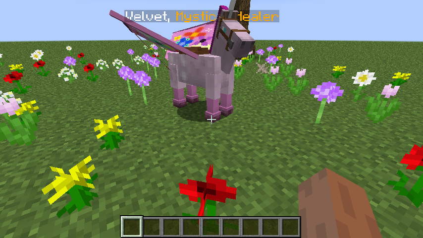 The Hackshop Alea Typhon And Velvet Three Unique New Horses