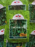 timun metavy, jual benih timun hibrida, jual benih cap panah merah, budidaya timn, mentimun, toko pertanian, toko online, lmga agro