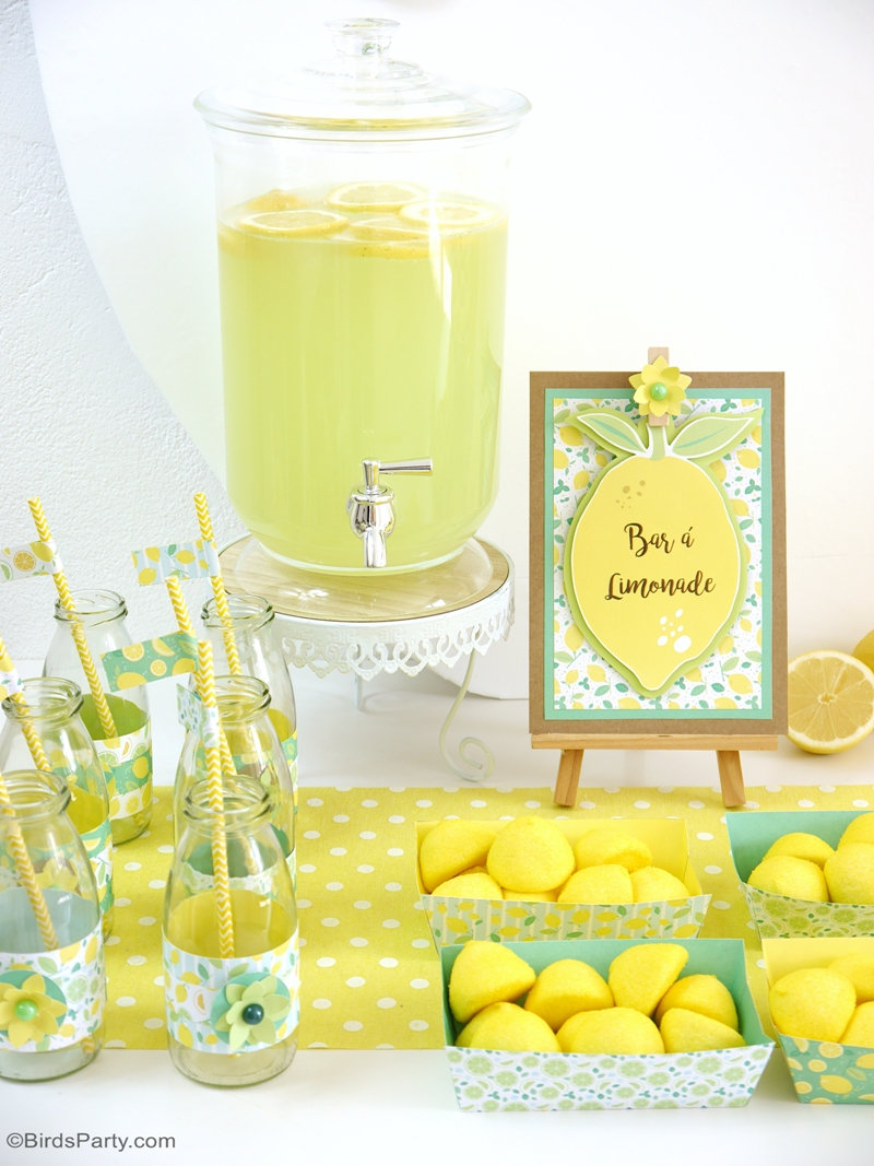 Lemon Themed Party Ideas with DIY Decorations Party Ideas Party Printables Blog