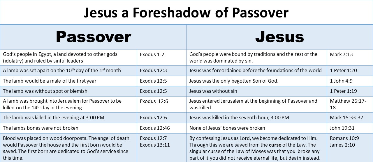 To Heaven and Back Again Passover, Jesus and God's Timeline