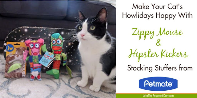 hipster kickers|zippy mouse