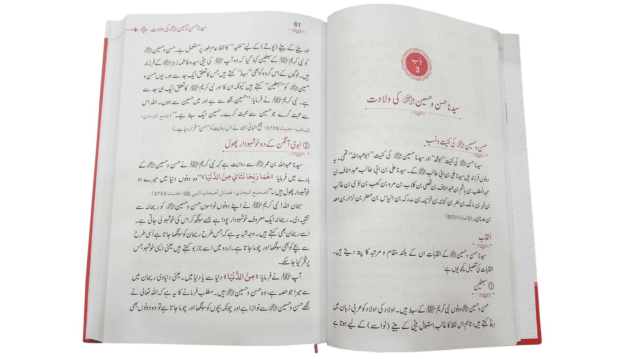 Seerat Hassan Wa Hussain - Image 5