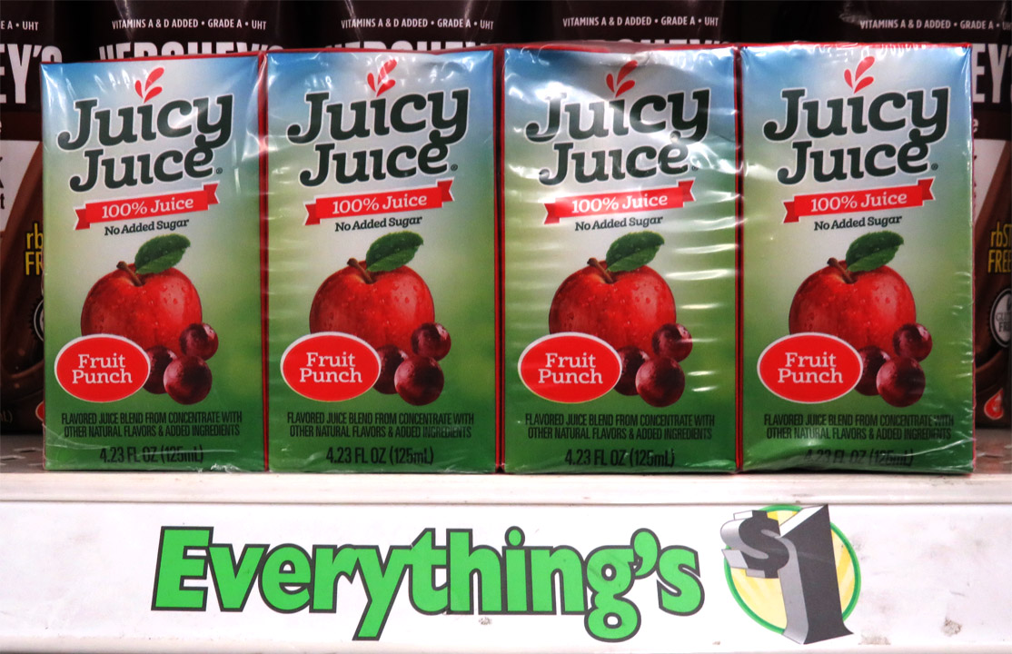 The 99 Cent Chef Emergency Earthquake Meals Dollar Tree Edition