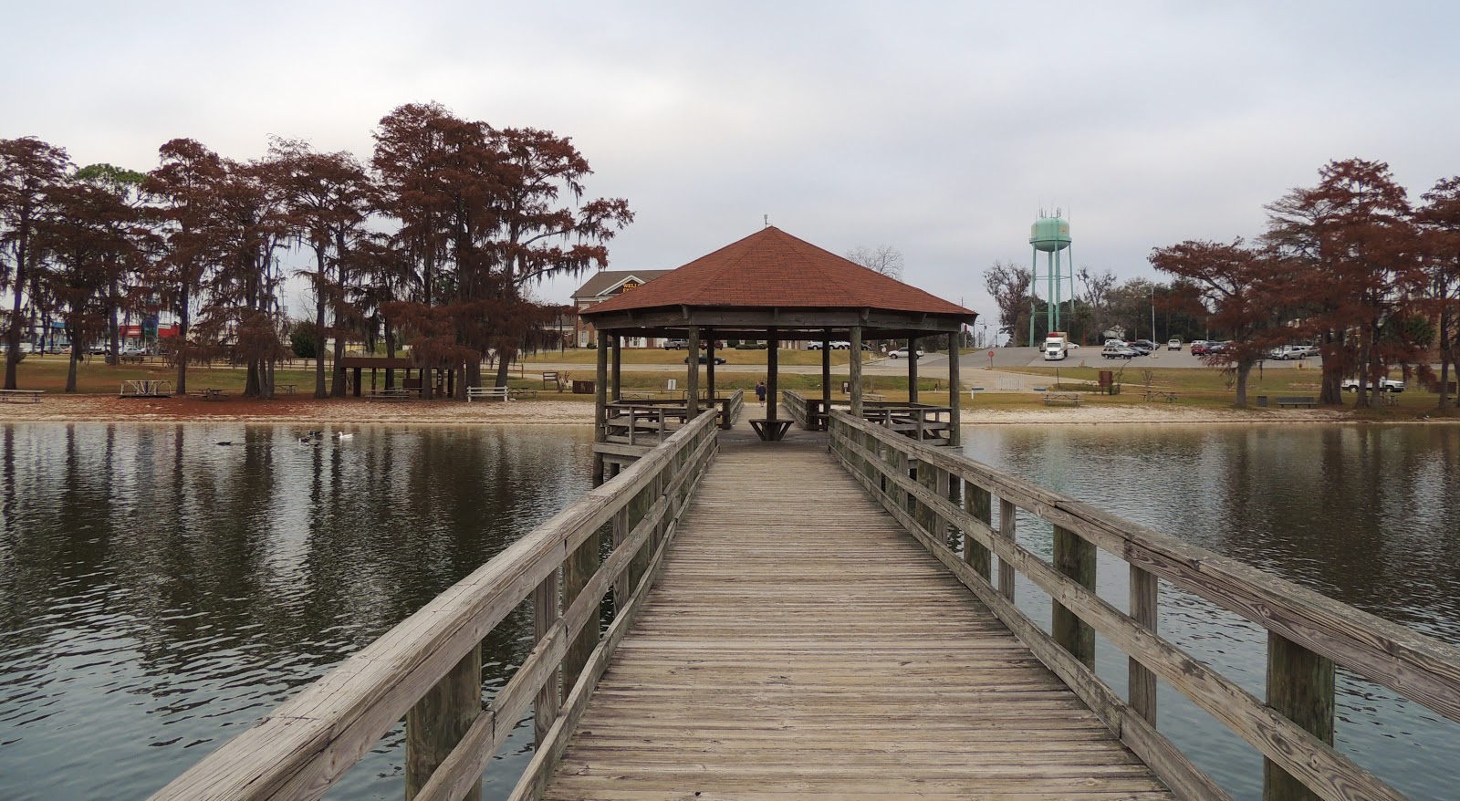 1000 Hikes in 1000 Days Day 752 Florala State Park Florala, Alabama