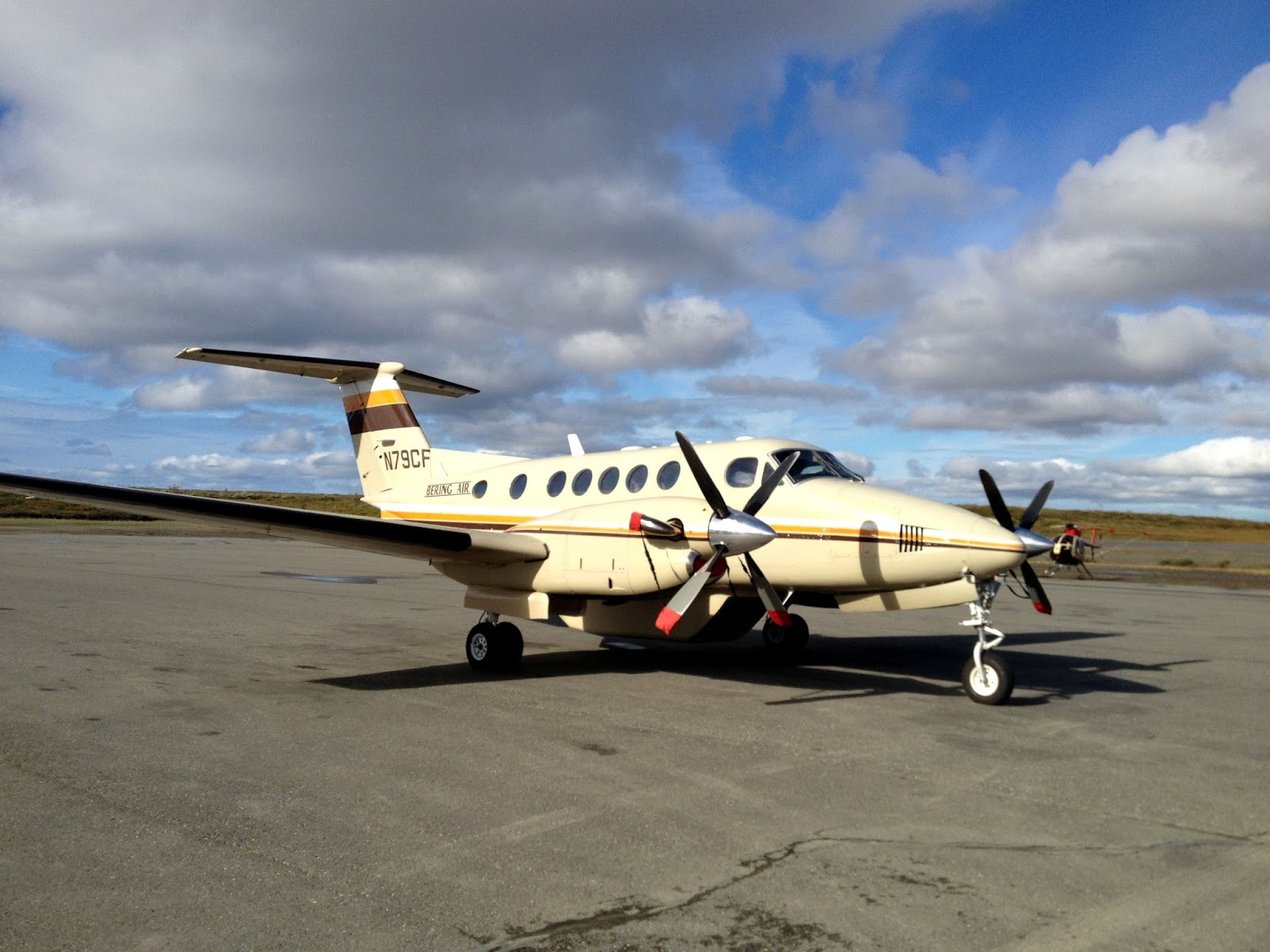 Accidental Big Year 2013 GAMBELLING ON ALASKA