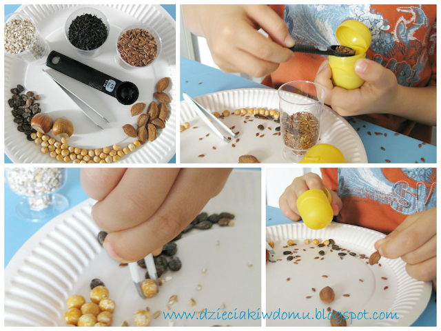 Memory dźwiękowe dla dzieci gra, sound memory game Memory dźwiękowe dla dzieci gra, sound memory game