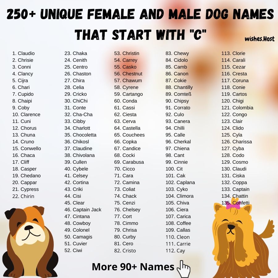 Имена для собак девочек редкие. Popular names for dogs. Кличка собаки девочки на д. Клички для собак девочек маленьких. Красивые собачьи имена для девочек.