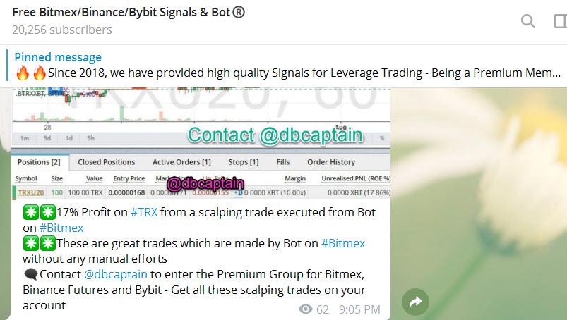Options trading telegram groups