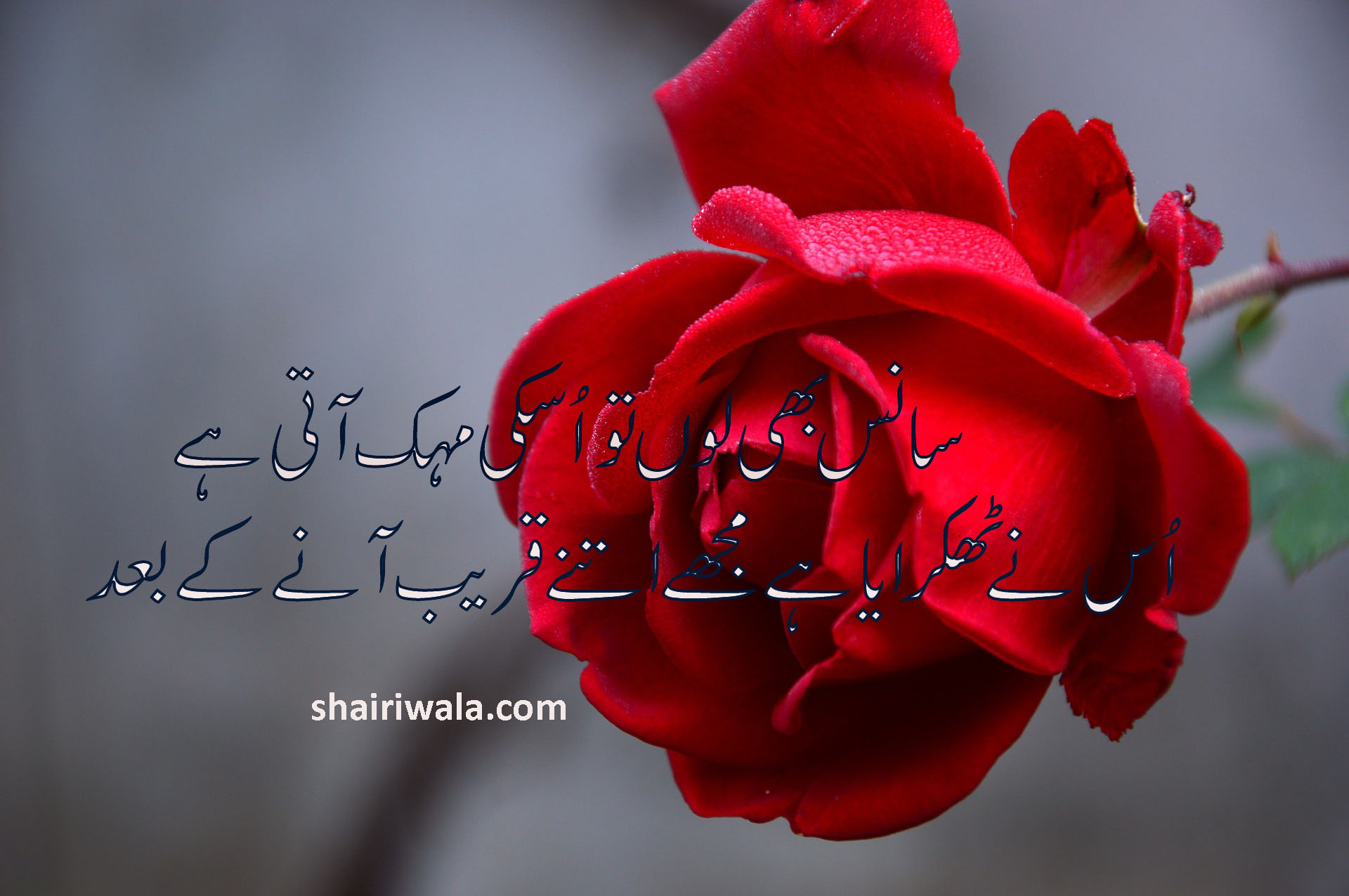Sans B Lun Toh Us Ki Mehak Ati Ha Romantic Poetry In Urdu Love Poetry Heart Touching Poetry romantic poetry in urdu