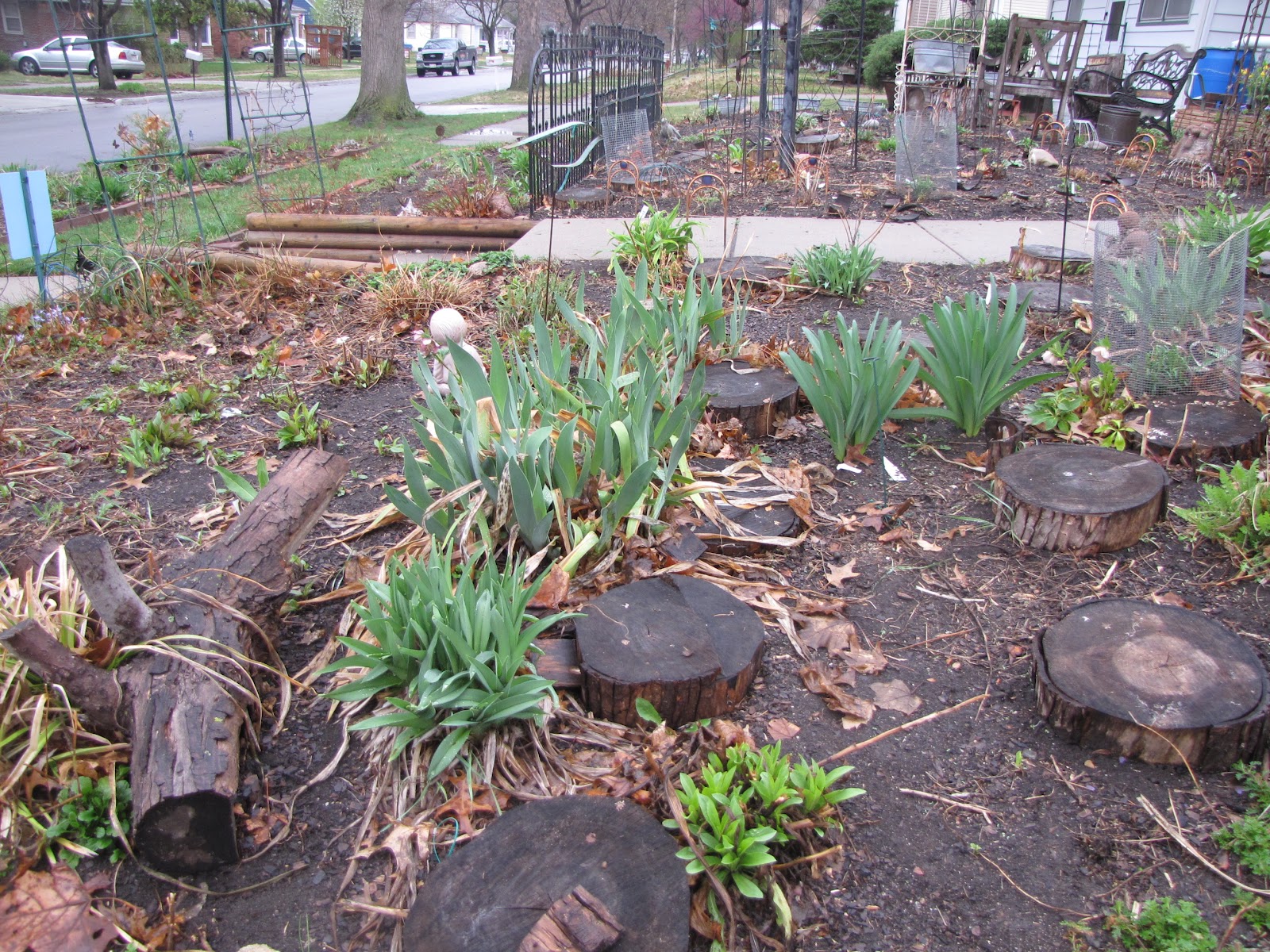 A Corner Garden: East Front Yard Bed