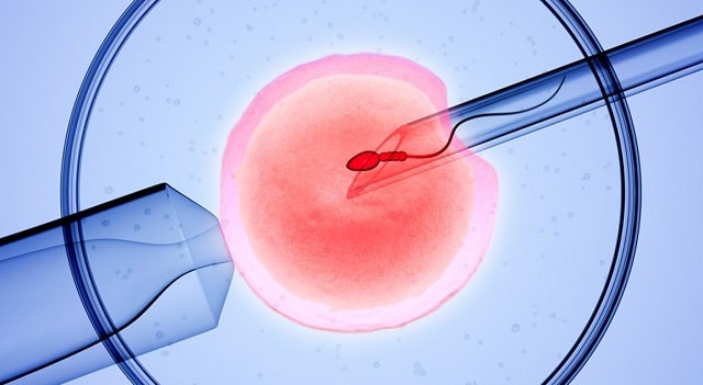role of medications in ivf in vitro fertilization prescriptions fertility treatment pregnancy