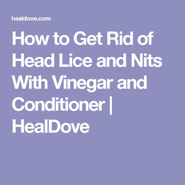 How To Tell If You Have Lice By Yourself Caraway Seeds Health Benefits