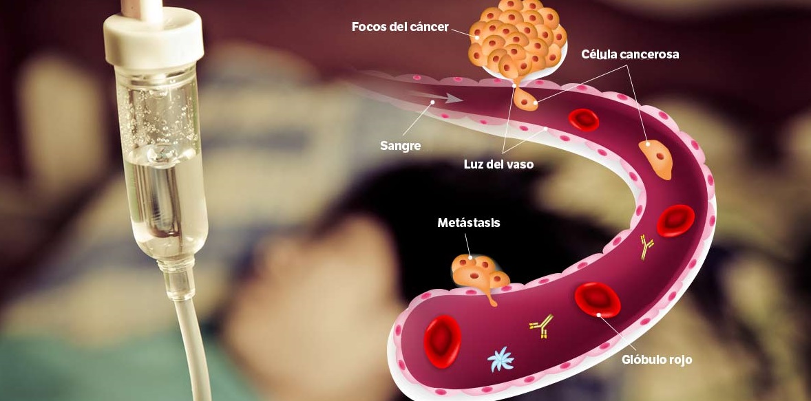 Cientistas descobrem que a substância experimental de mRNA pode desencadear câncer Cientistas descobrem que a substância experimental de mRNA pode desencadear câncer